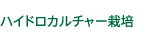 ハイドロカルチャー栽培