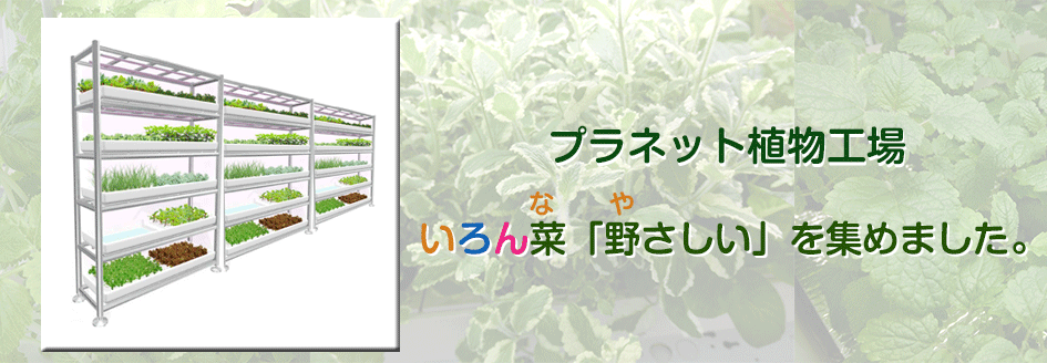 プラネット独自の植物工場