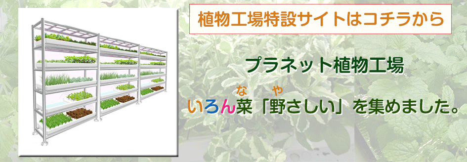 いろん菜「野さしい」を集めました。