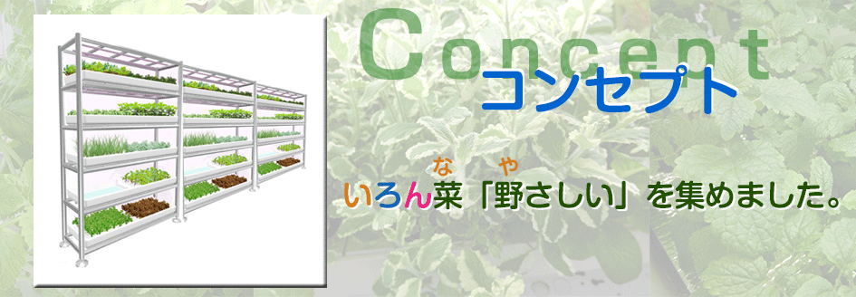 プラネット独自の植物工場