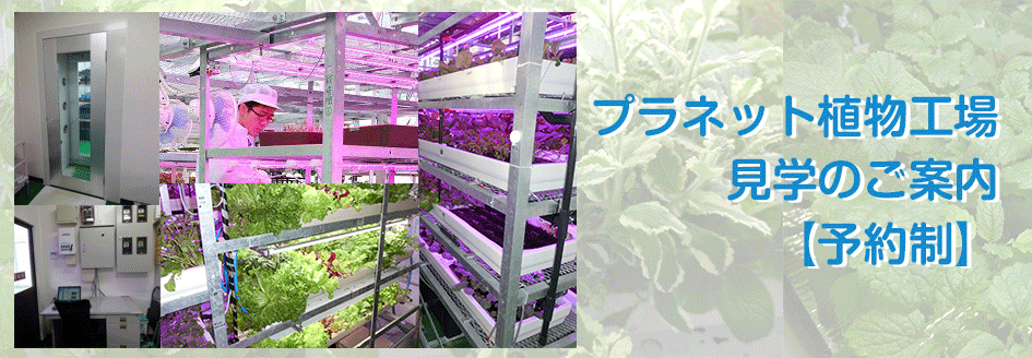 プラネット独自の植物工場