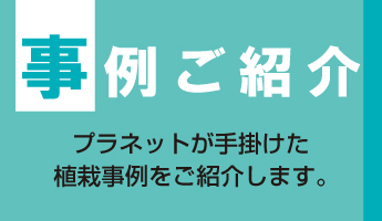 事例ご紹介