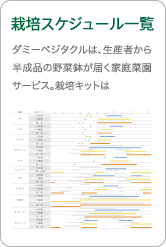 栽培スケジュール一覧