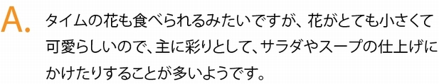 タイムの花も食べられるみたいですが、 花がとても小さくて可愛らしいので、主に彩りとして、サラダやスープの仕上げにかけたりすることが多いようです。