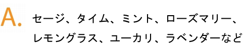 セージ、タイム、ミント、ローズマリー、レモングラスなど