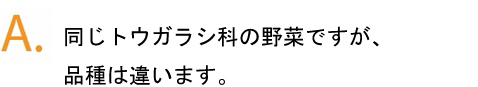 赤ピーマンとパプリカの違いは？