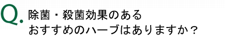 除菌・殺菌効果のあるハーブはありますか？