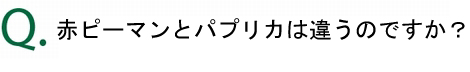 赤ピーマンとパプリカの違いは？