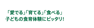 「愛でる」「育てる」「食べる」子どもの食育体験にピッタリ！