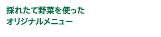 採れたて野菜を使ったオリジナルメニュー