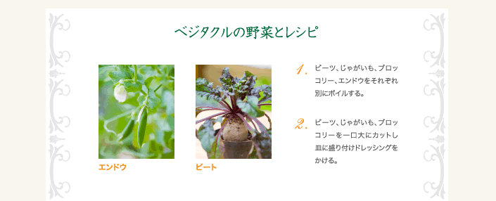 ベジタクルの野菜とレシピ